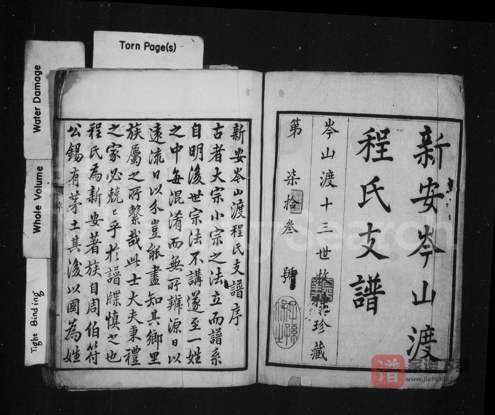 图片[2]-安徽黄山歙县新安岑山渡程氏支谱PDF高清电子版下载-家谱下载