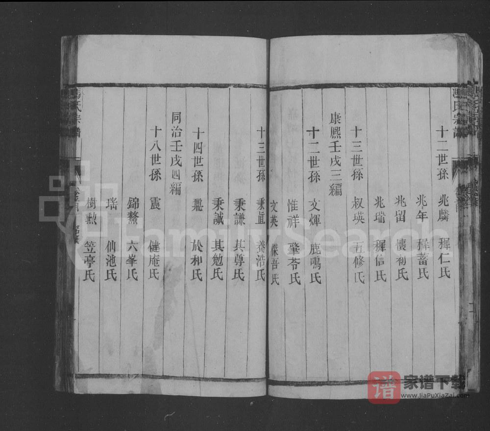 图片[2]-江苏如皋冯氏宗谱PDF高清电子版下载-家谱下载