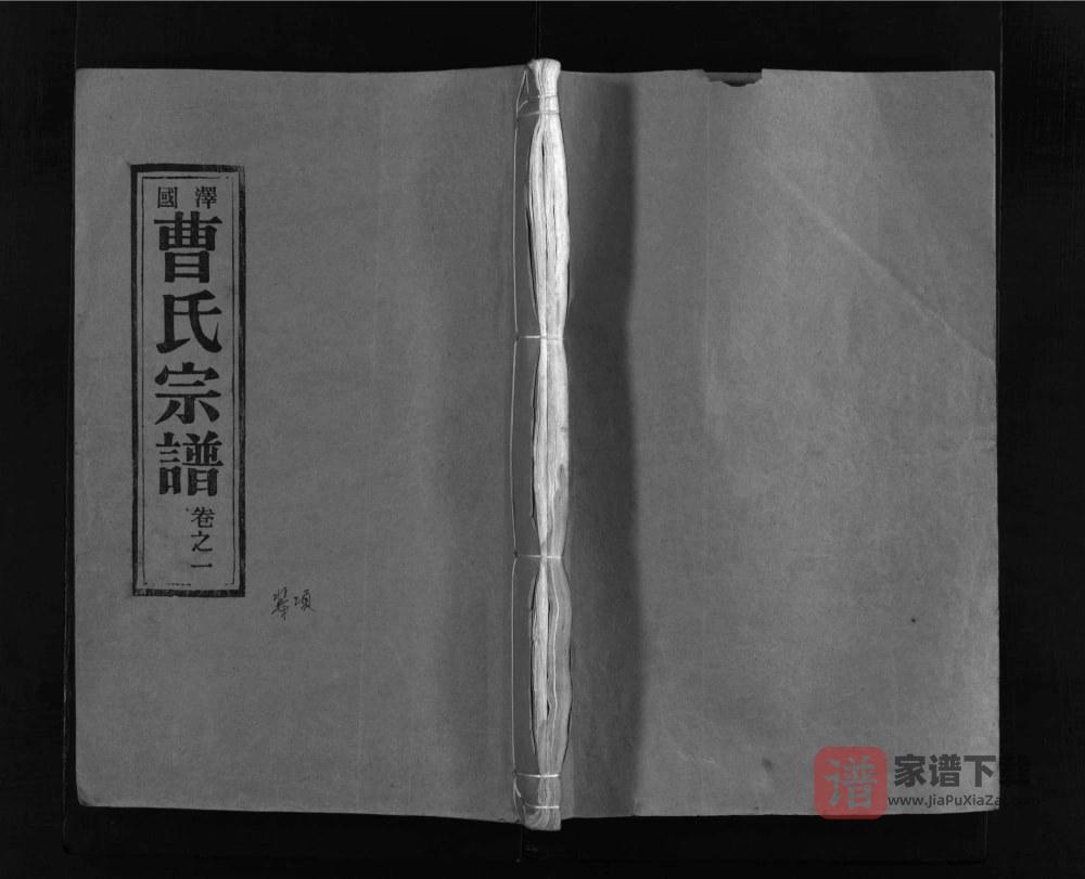 图片[1]-浙江温岭泽国曹氏宗谱PDF高清电子版下载-家谱下载