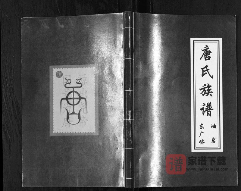 辽宁鞍山岫岩唐氏族谱PDF高清电子版下载-家谱下载