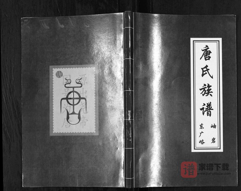 图片[1]-辽宁鞍山岫岩唐氏族谱PDF高清电子版下载-家谱下载
