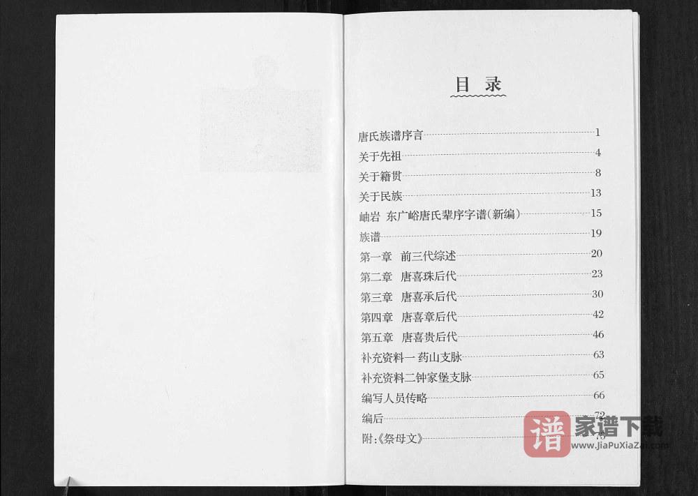 图片[2]-辽宁鞍山岫岩唐氏族谱PDF高清电子版下载-家谱下载