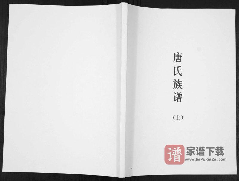 广东梅州五华县唐氏族谱PDF高清电子版下载-家谱下载