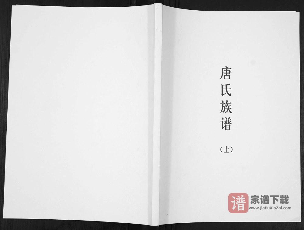 图片[1]-广东梅州五华县唐氏族谱PDF高清电子版下载-家谱下载