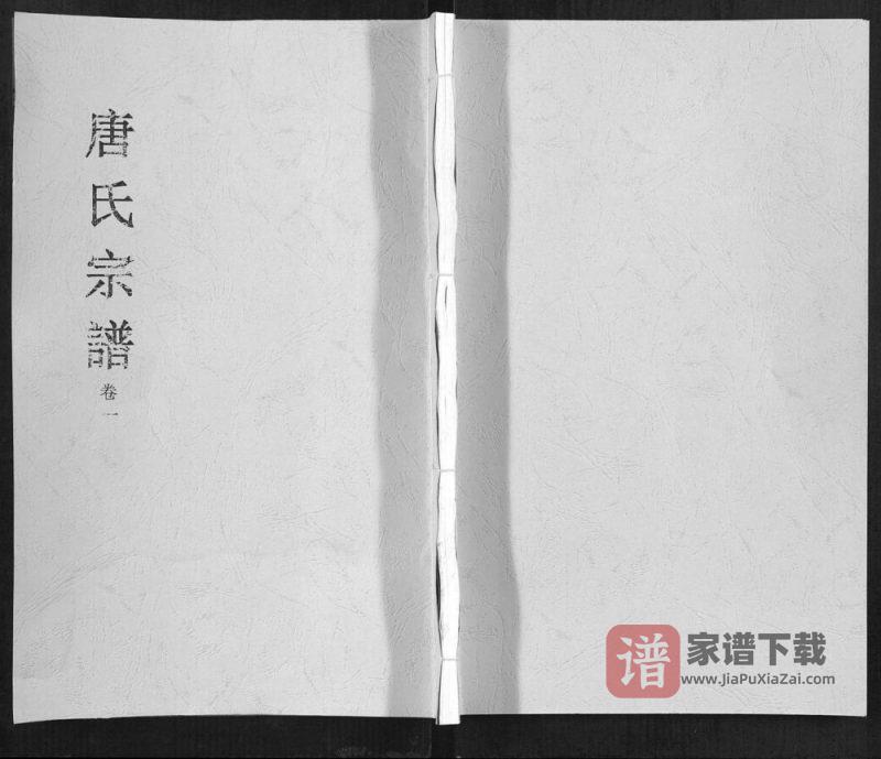 安徽合肥唐氏宗谱(锡镜堂)PDF高清电子版下载-家谱下载