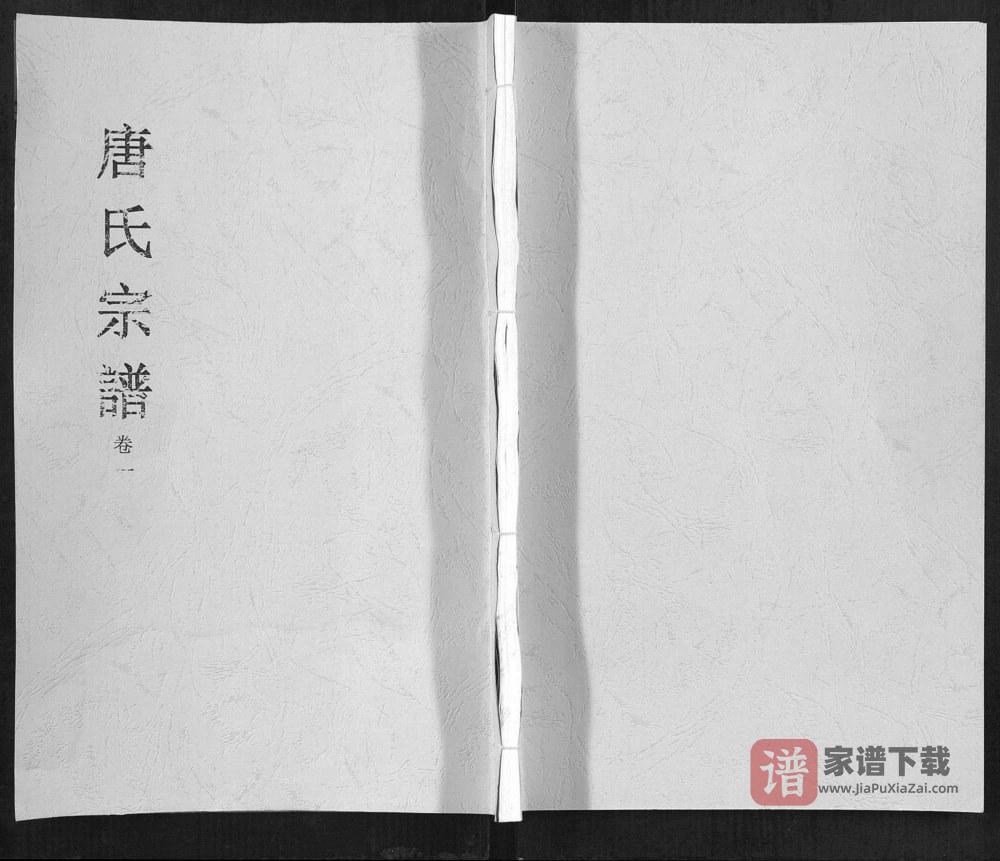 图片[1]-安徽合肥唐氏宗谱（锡镜堂）PDF高清电子版下载-家谱下载
