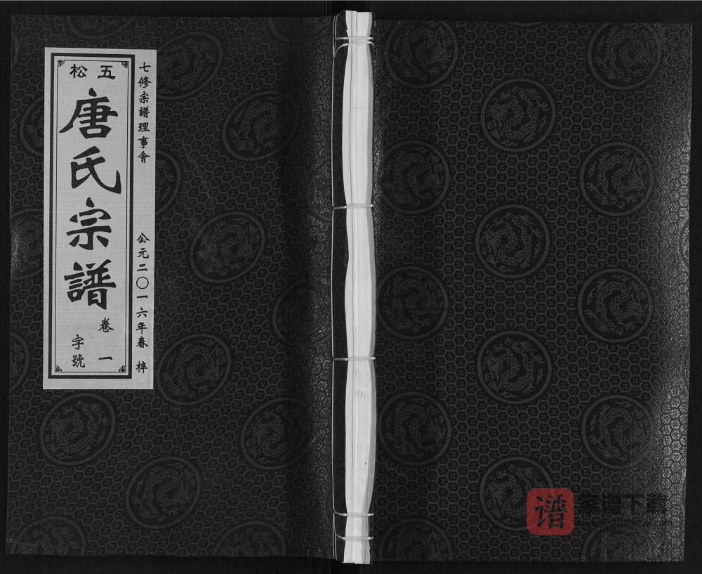 图片[1]-安徽铜陵五松唐氏宗谱（晋阳堂）PDF高清电子版下载-家谱下载