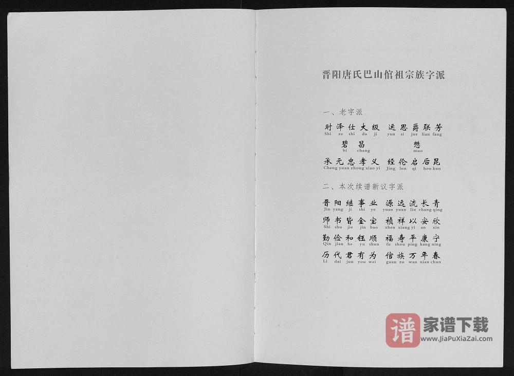 图片[2]-四川达州宣汉重庆开州区唐氏族谱PDF高清电子版下载-家谱下载
