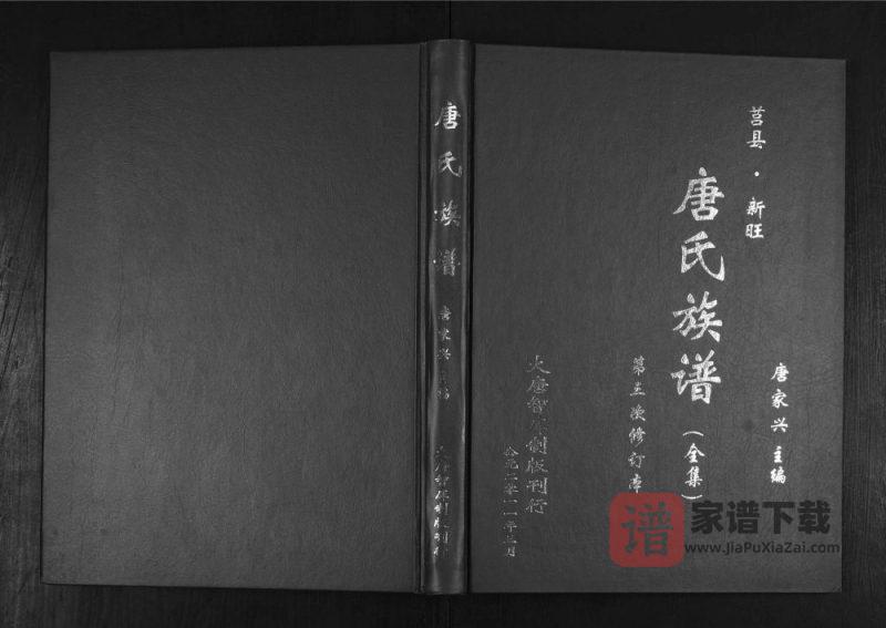 山东日照莒县新旺唐氏族谱PDF高清电子版下载-家谱下载