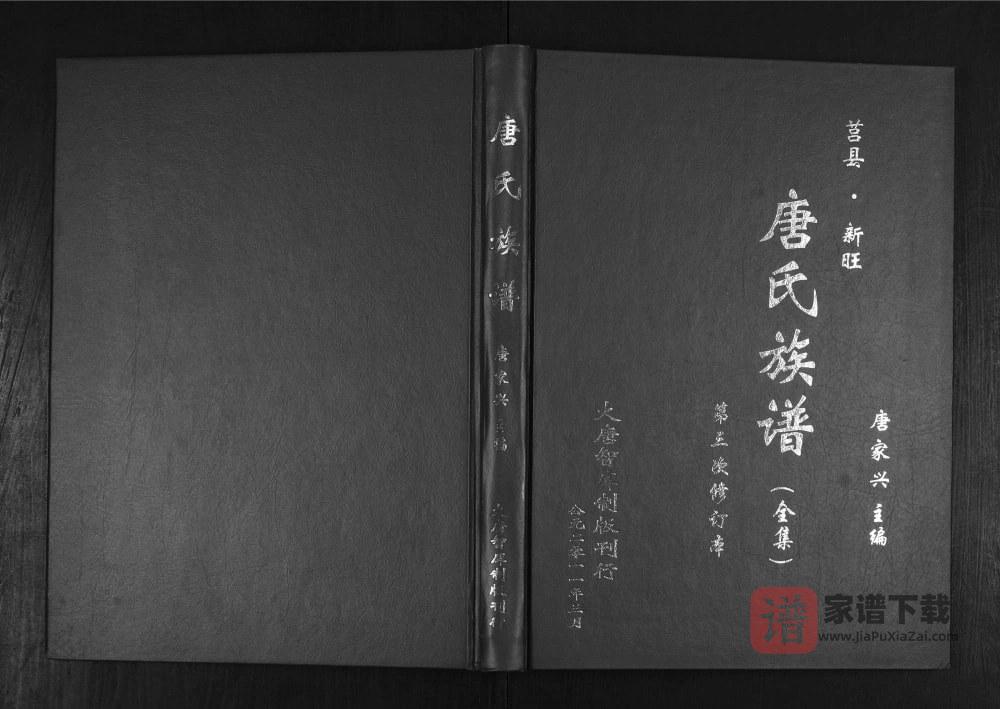 图片[1]-山东日照莒县新旺唐氏族谱PDF高清电子版下载-家谱下载