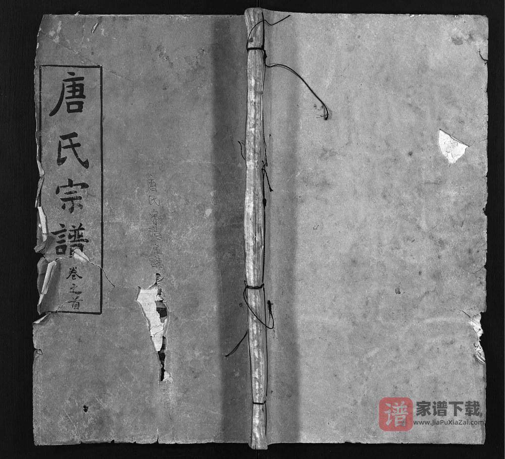 图片[1]-湖北麻城唐氏宗谱（勤俭堂）PDF高清电子版下载-家谱下载