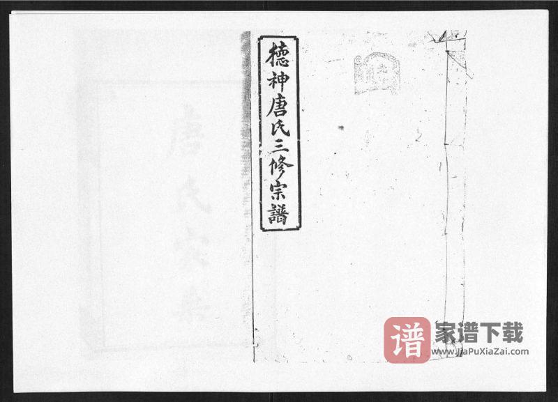 湖南衡阳德神唐氏三修宗谱(树德堂)PDF高清电子版下载-家谱下载