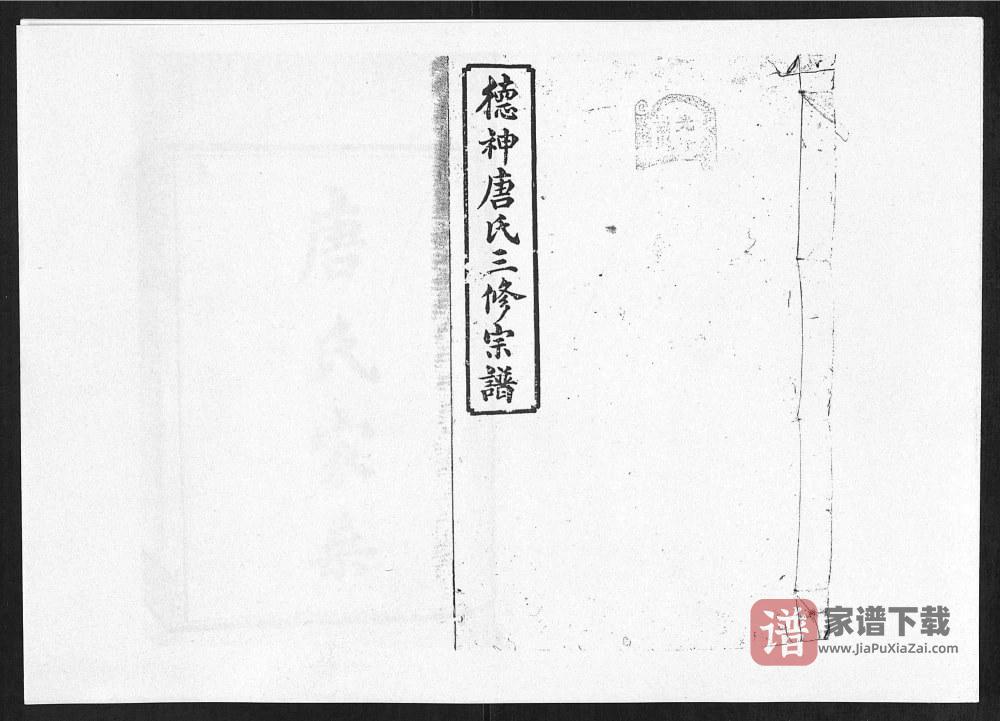 图片[1]-湖南衡阳德神唐氏三修宗谱（树德堂）PDF高清电子版下载-家谱下载