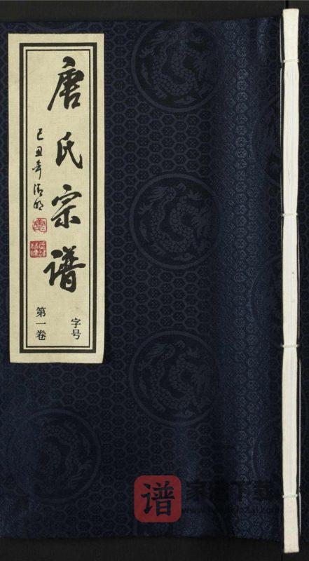 江苏常州武进区唐氏宗谱（成美堂）PDF高清电子版下载-家谱下载