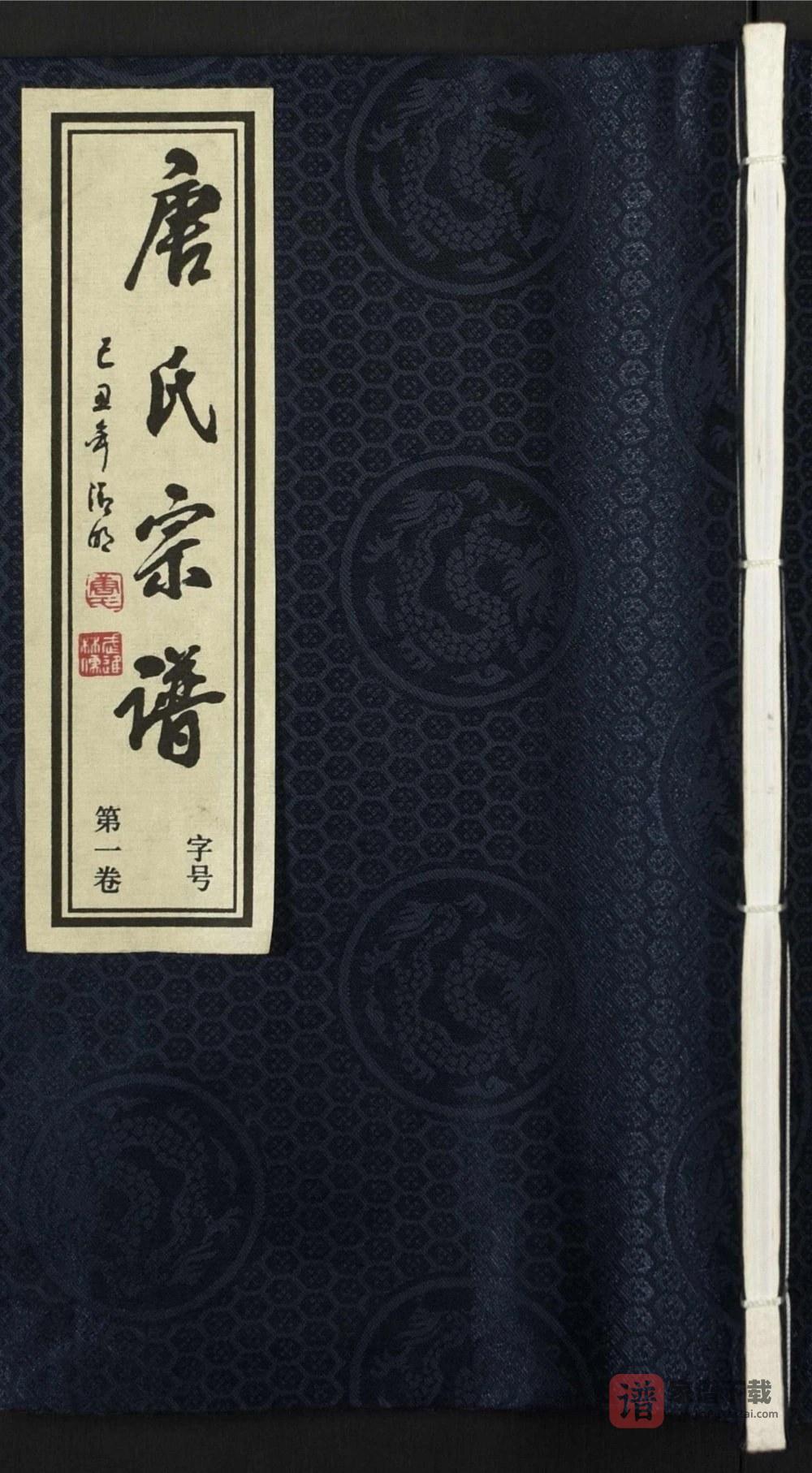 图片[1]-江苏常州武进区唐氏宗谱（成美堂）PDF高清电子版下载-家谱下载