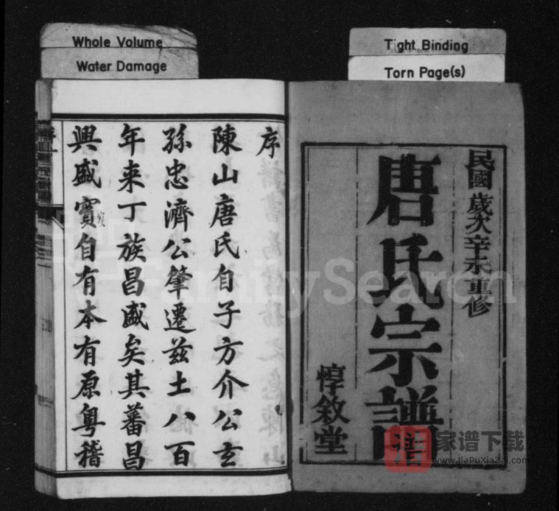 江苏丹阳唐氏宗谱（惇叙堂）PDF高清电子版下载-家谱下载