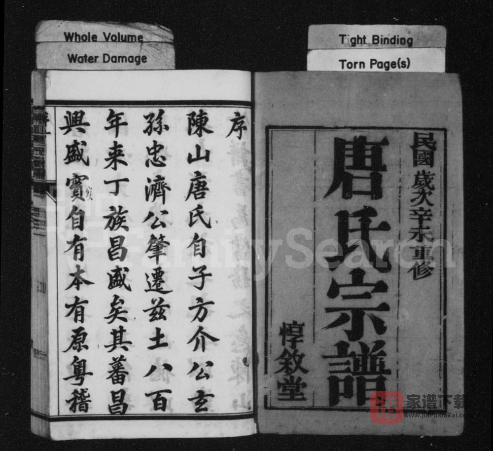 江苏丹阳唐氏宗谱（惇叙堂）PDF高清电子版下载