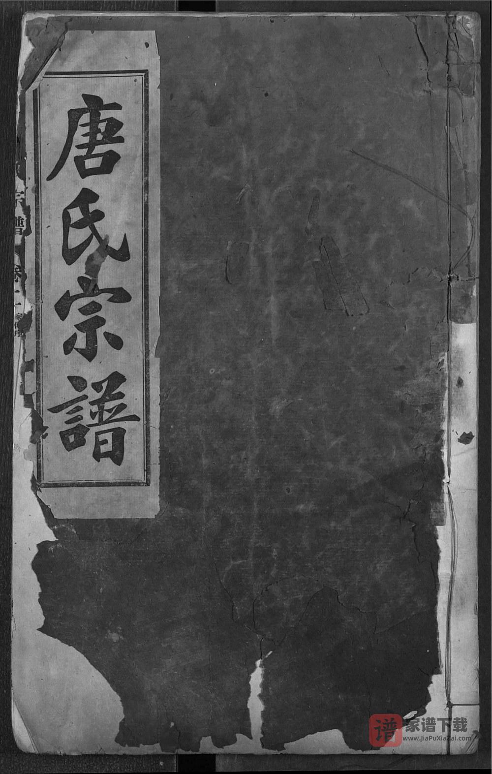湖北武汉蔡甸区唐氏宗谱（晋阳堂）PDF高清电子版下载
