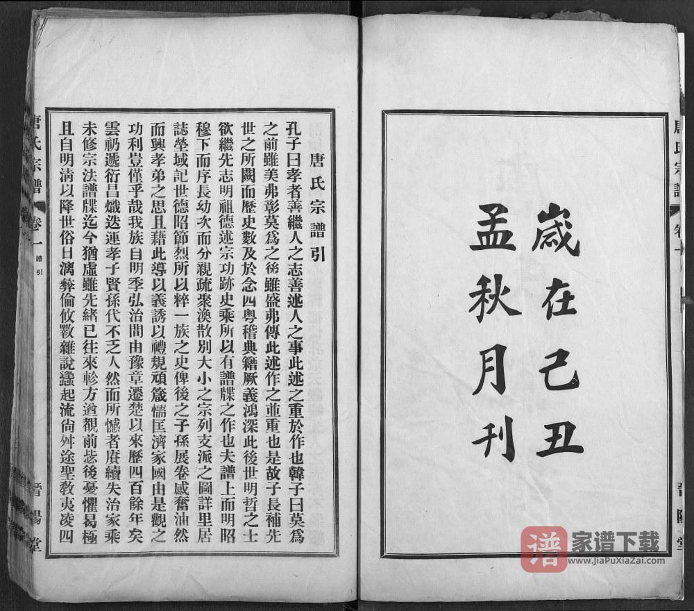 图片[2]-湖北武汉蔡甸区唐氏宗谱（晋阳堂）PDF高清电子版下载-家谱下载