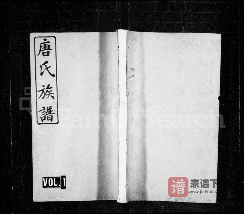 湖南浏阳浏南青山唐氏族谱（道德堂）PDF高清电子版下载-家谱下载