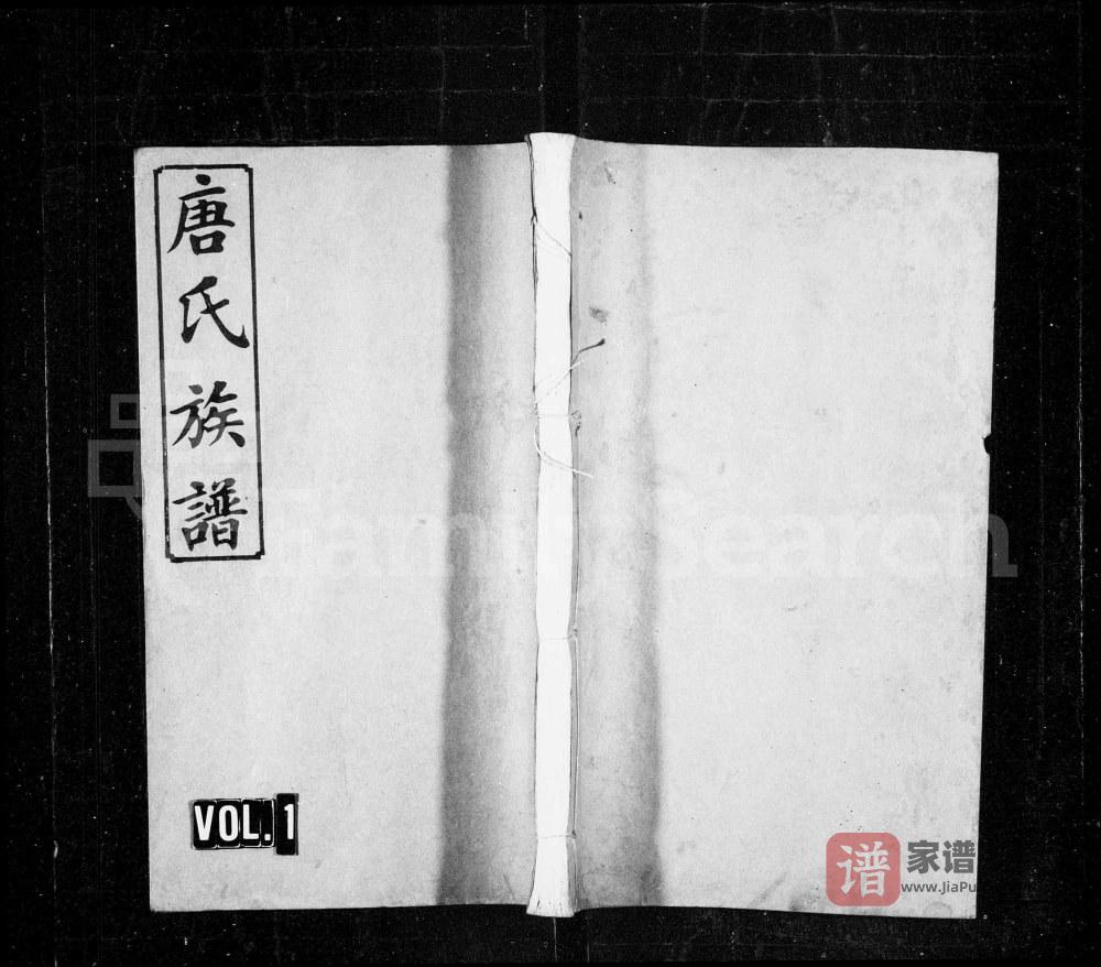 湖南浏阳浏南青山唐氏族谱（道德堂）PDF高清电子版下载
