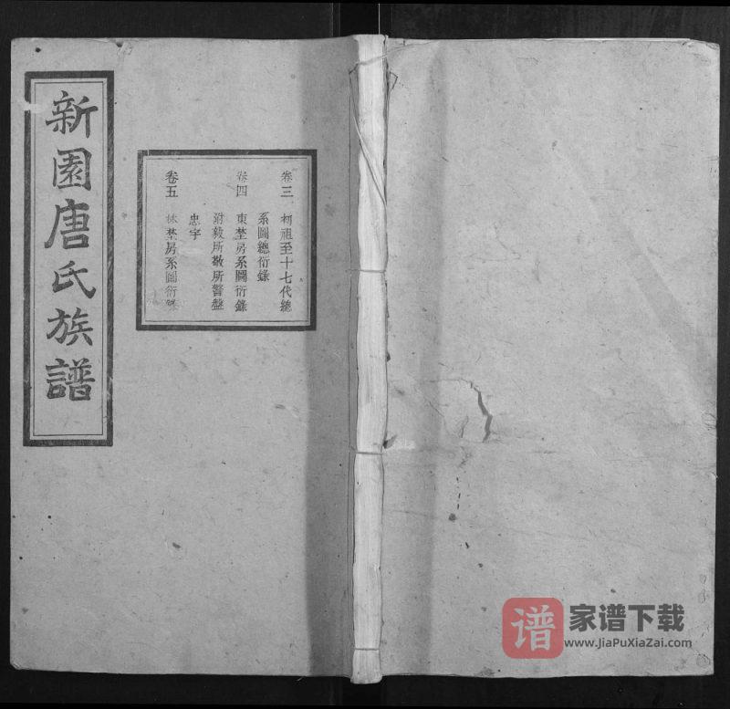 湖南湘乡新园唐氏八修族谱（伦鉴堂）PDF高清电子版下载-家谱下载