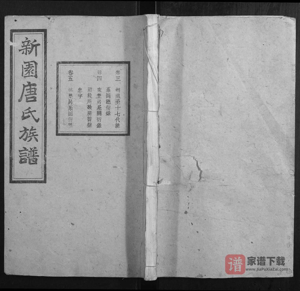 湖南湘乡新园唐氏八修族谱（伦鉴堂）PDF高清电子版下载