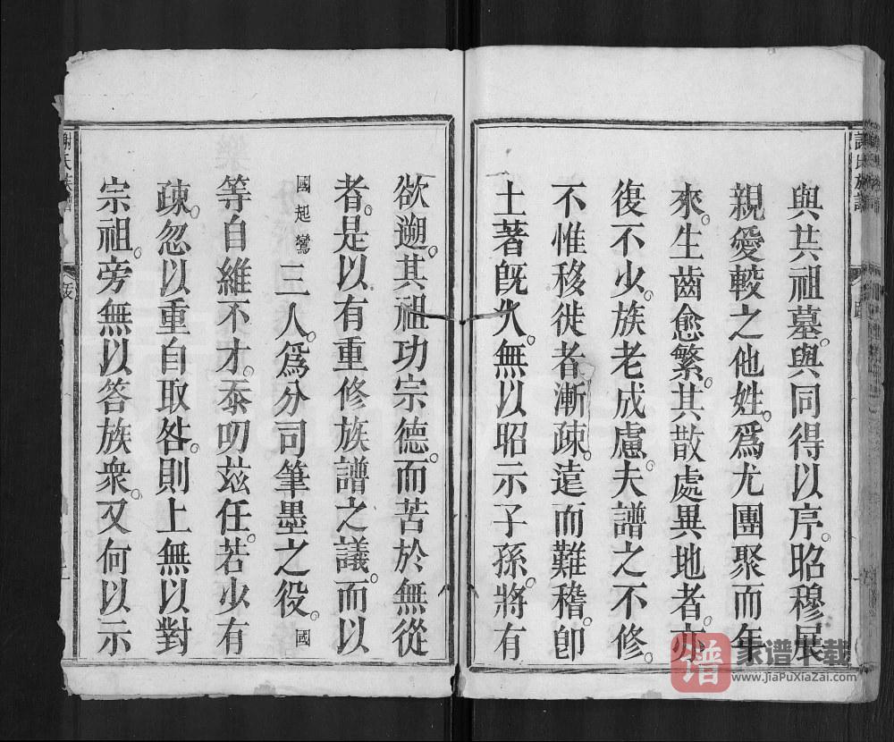 图片[2]-广东梅州平远差干谢氏族谱PDF高清电子版下载-家谱下载