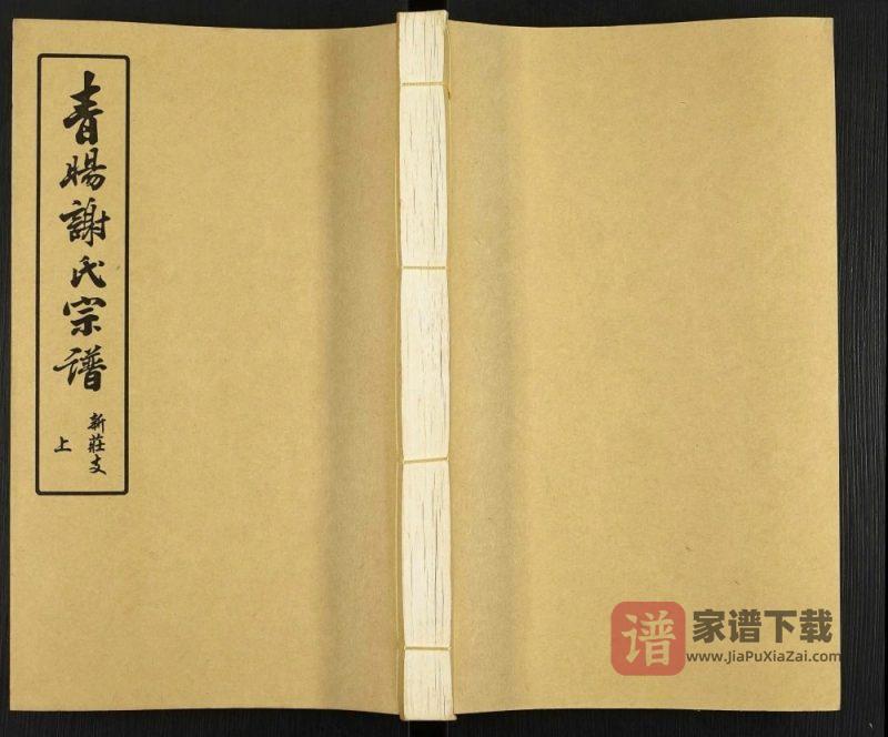 江苏江阴青旸谢氏宗谱新庄支(宝树堂)PDF高清电子版下载-家谱下载