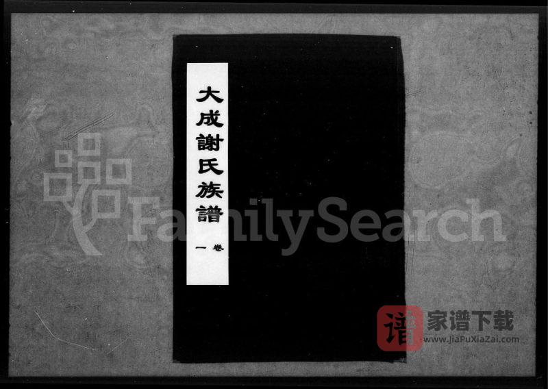湖北应城大成谢氏族谱(宝树堂)PDF高清电子版下载-家谱下载