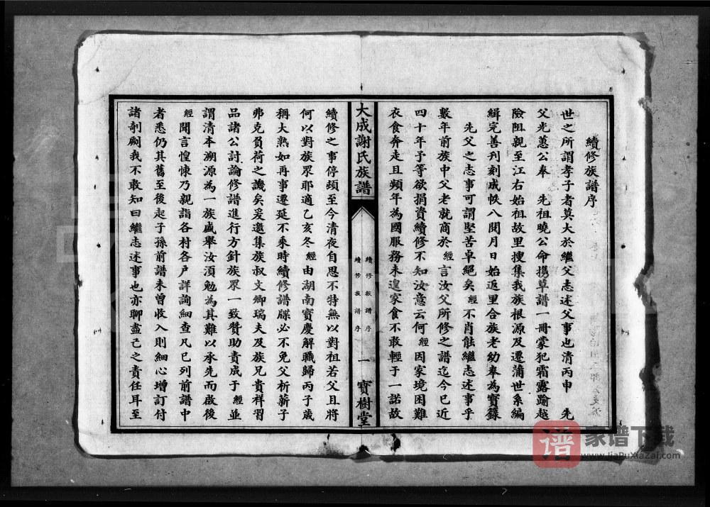 图片[2]-湖北应城大成谢氏族谱（宝树堂）PDF高清电子版下载-家谱下载