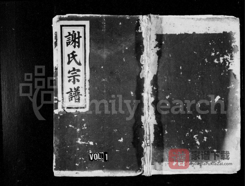 江西奉新谢氏宗谱（文忠堂）PDF高清电子版下载-家谱下载
