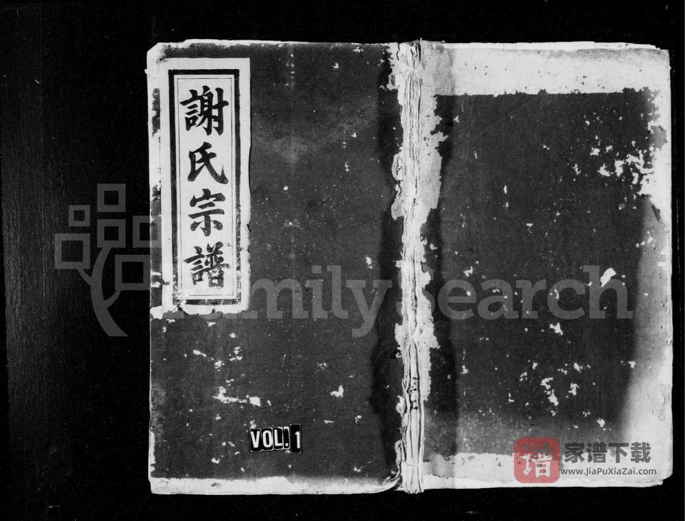江西奉新谢氏宗谱（文忠堂）PDF高清电子版下载