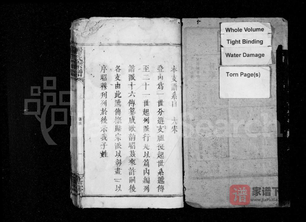 图片[2]-江西奉新谢氏宗谱（文忠堂）PDF高清电子版下载-家谱下载