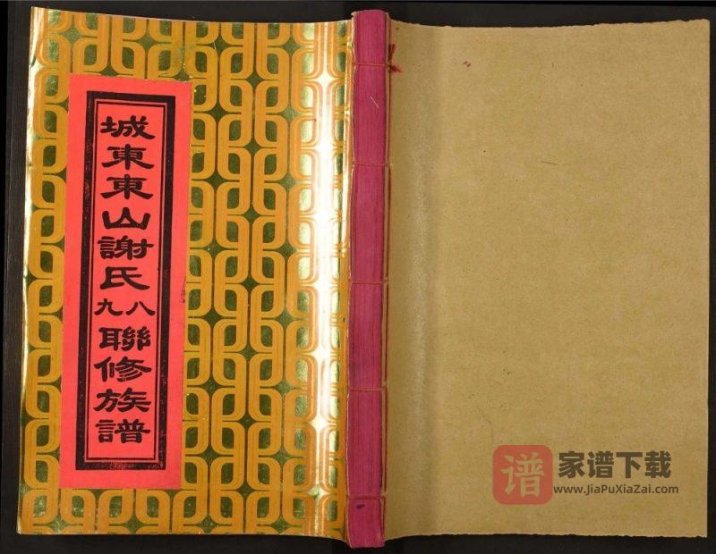 江西赣州宁都县城东东山谢氏八九联修族谱PDF高清电子版下载-家谱下载