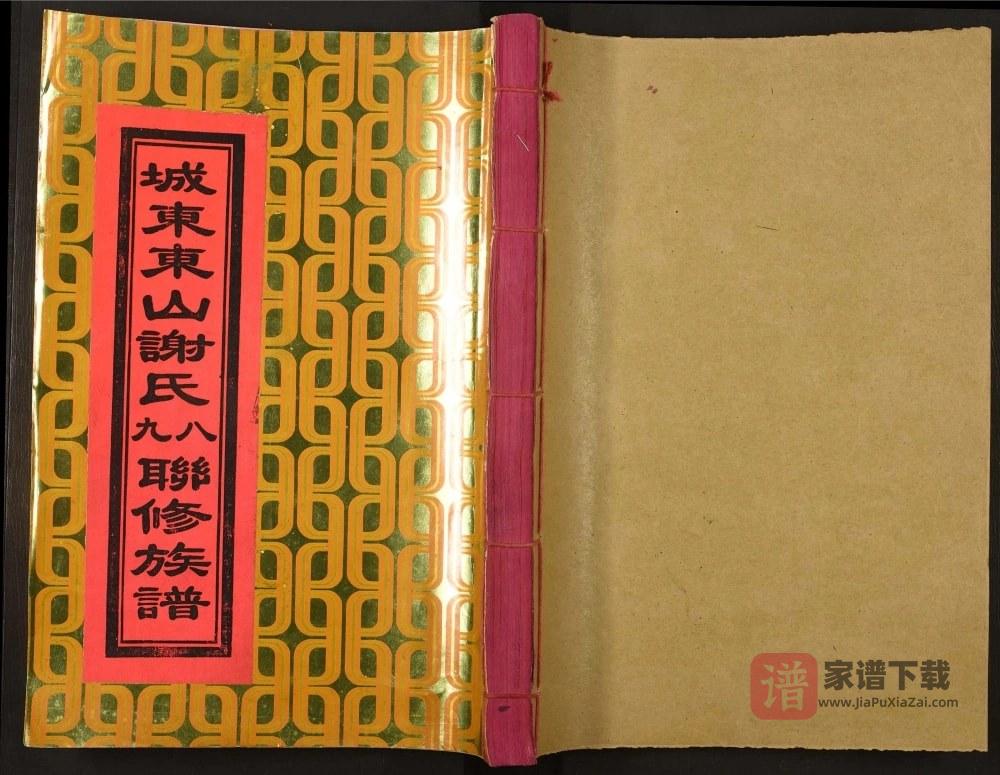 江西赣州宁都县城东东山谢氏八九联修族谱PDF高清电子版下载