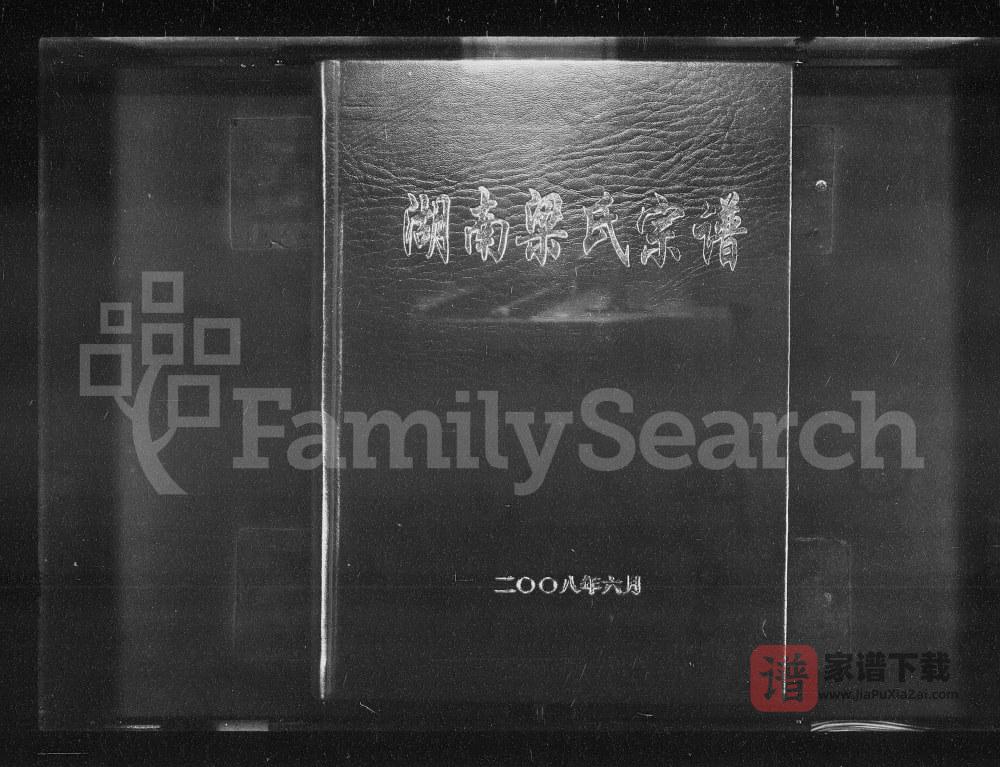 湖南梁氏宗谱PDF高清电子版下载