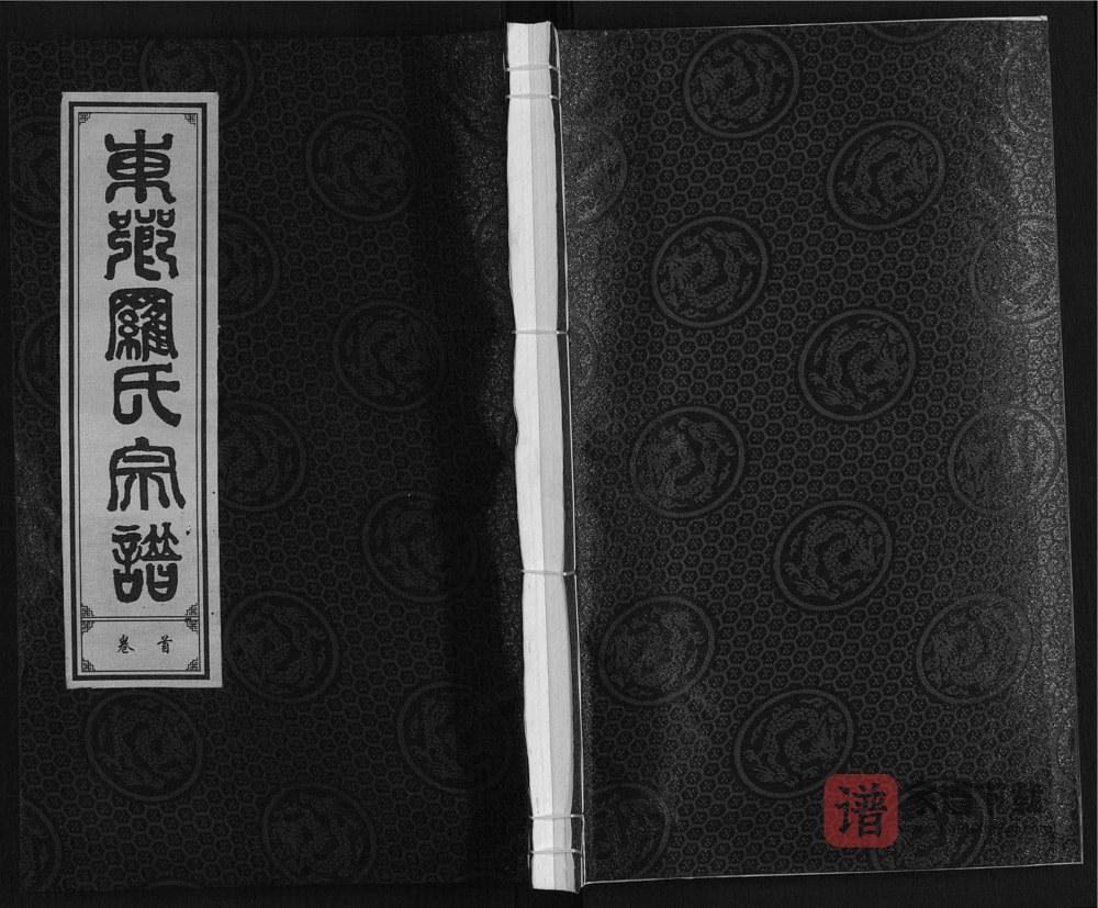 安徽合肥东乡罗氏宗谱（芝雀堂）PDF高清电子版下载