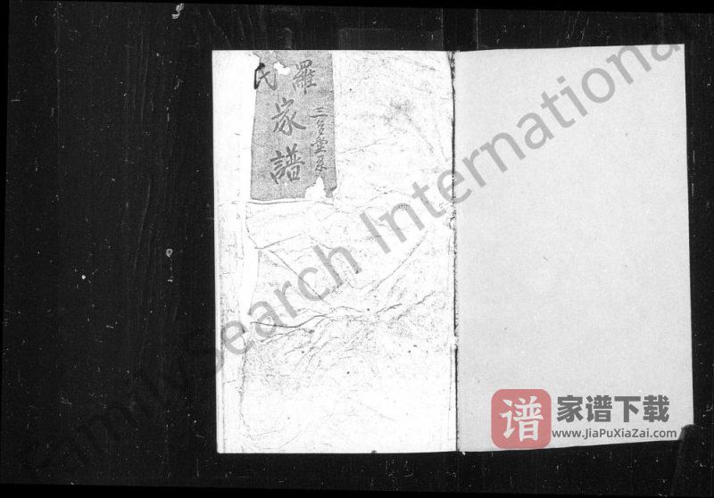 山西介休罗氏家谱PDF高清电子版下载-家谱下载