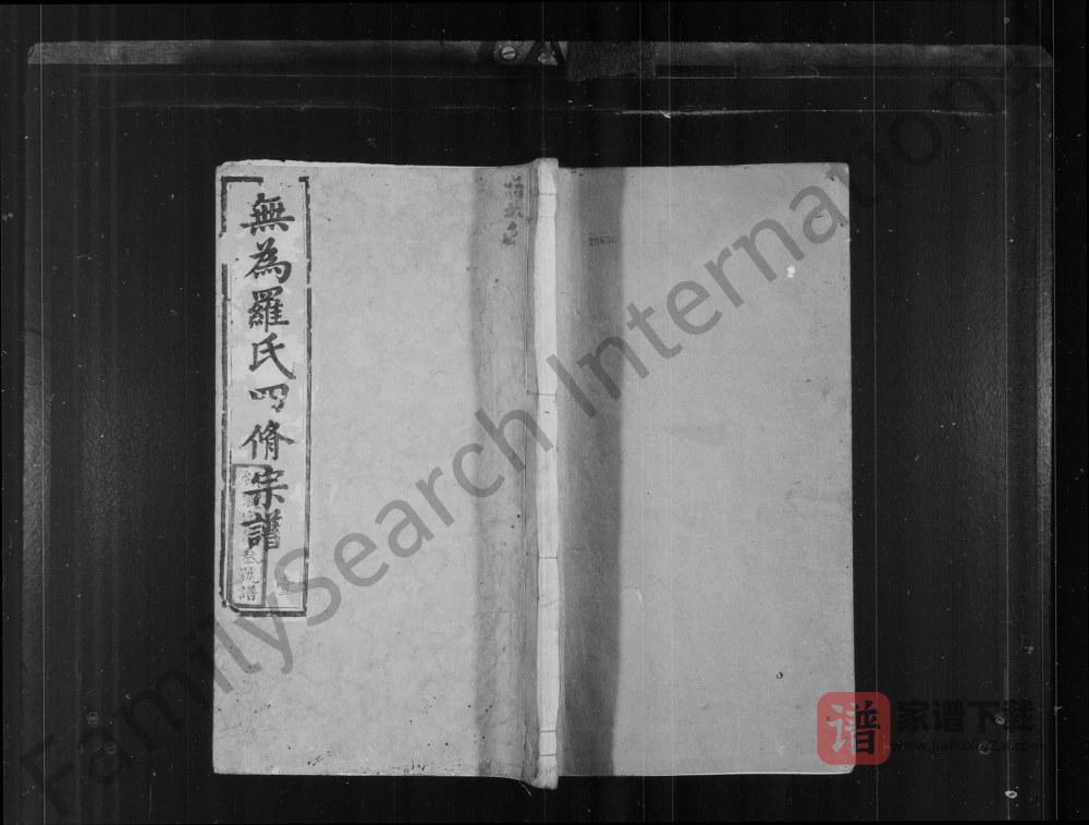 安徽无为罗氏四修宗谱（柏林堂）PDF高清电子版下载