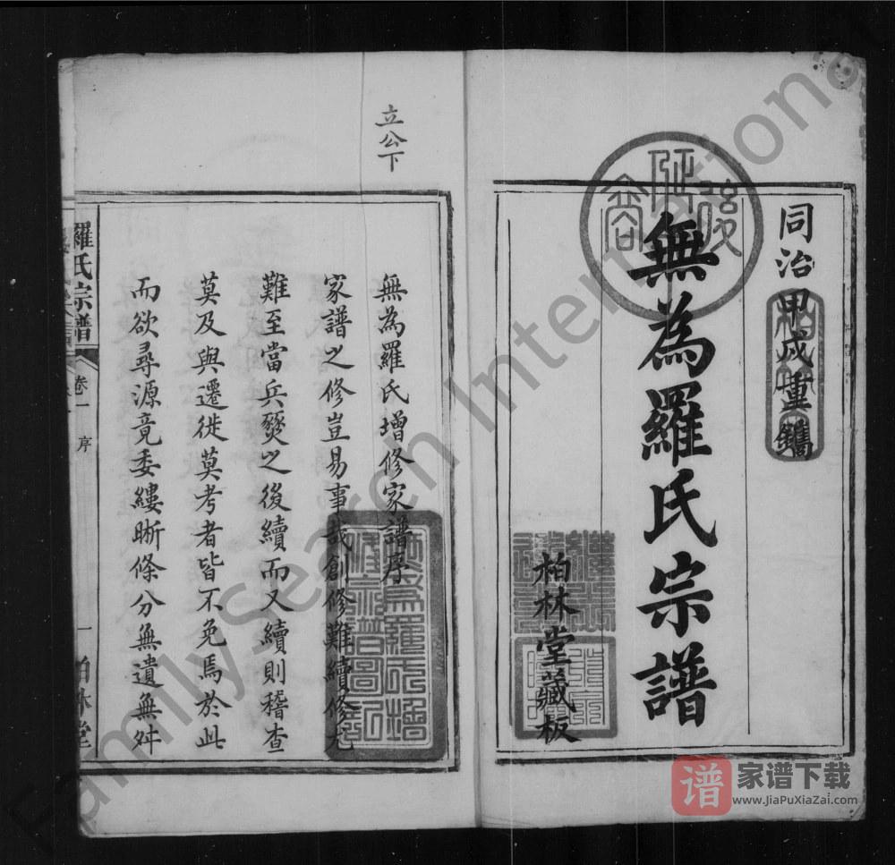 图片[2]-安徽无为罗氏四修宗谱（柏林堂）PDF高清电子版下载-家谱下载