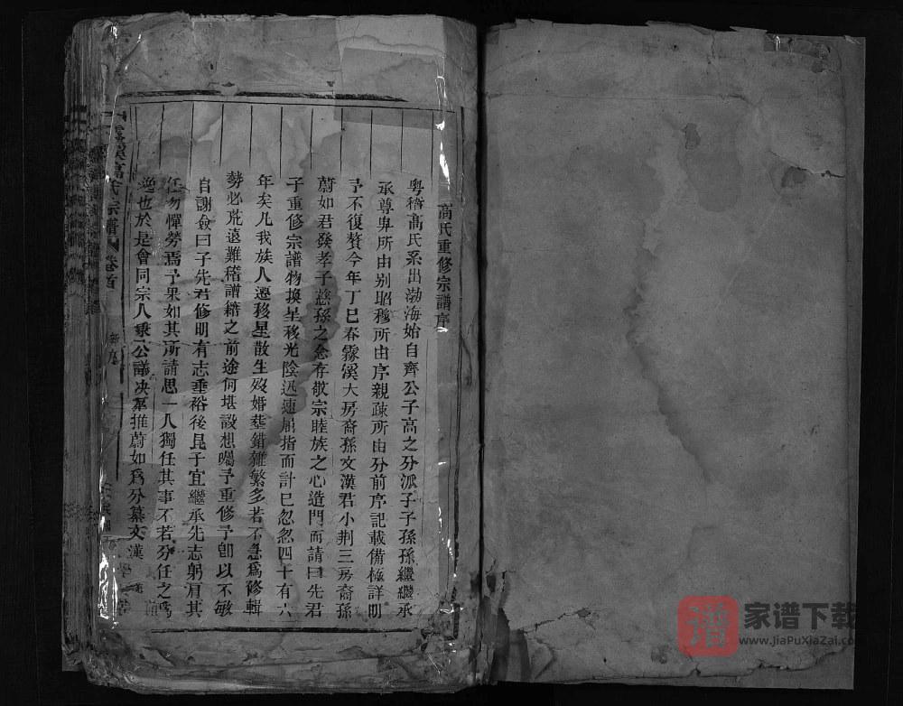 浙江乐清雾溪高氏宗谱PDF高清电子版下载