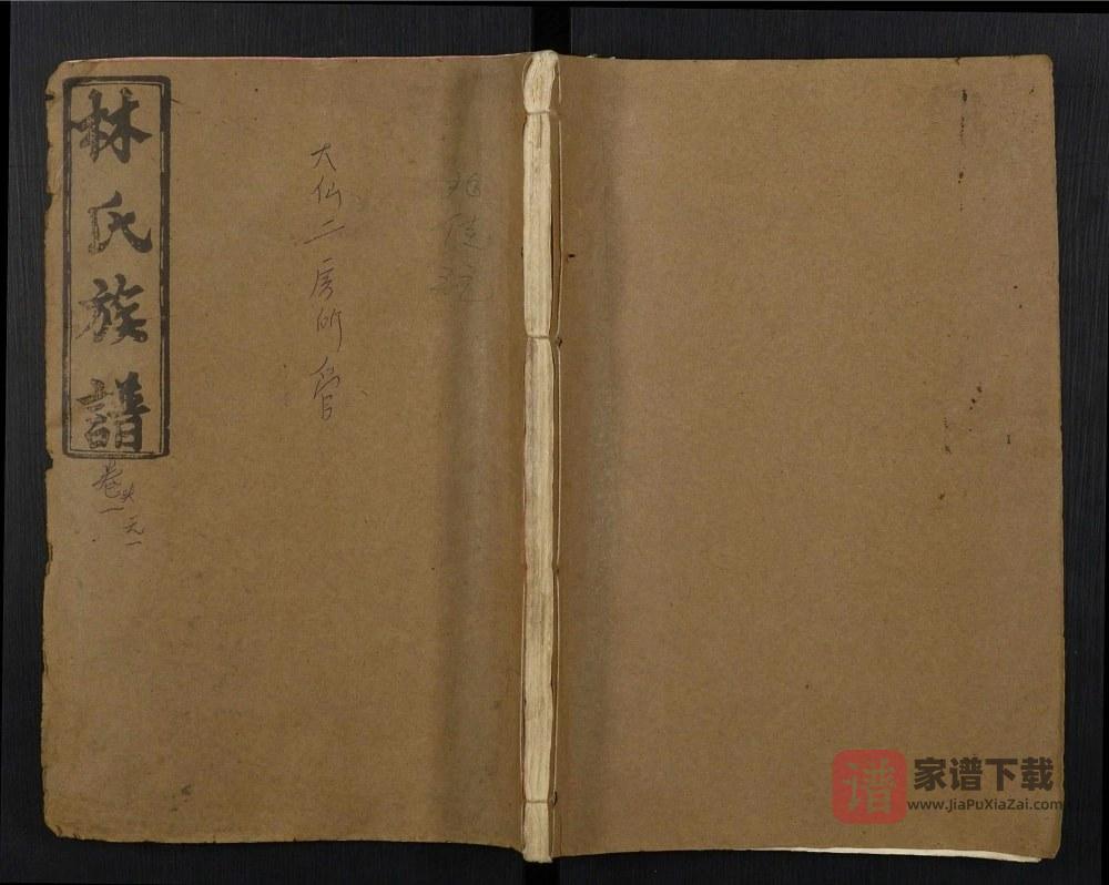 江西宜春萍乡万载安福林氏族谱（忠孝堂）PDF高清电子版下载