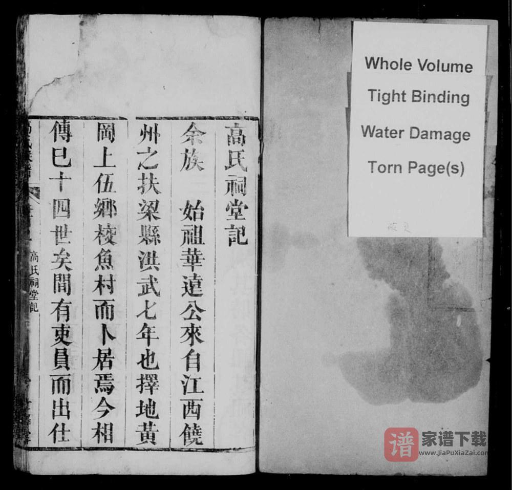 图片[2]-湖北黄冈高氏宗谱（世泽堂）PDF高清电子版下载-家谱下载