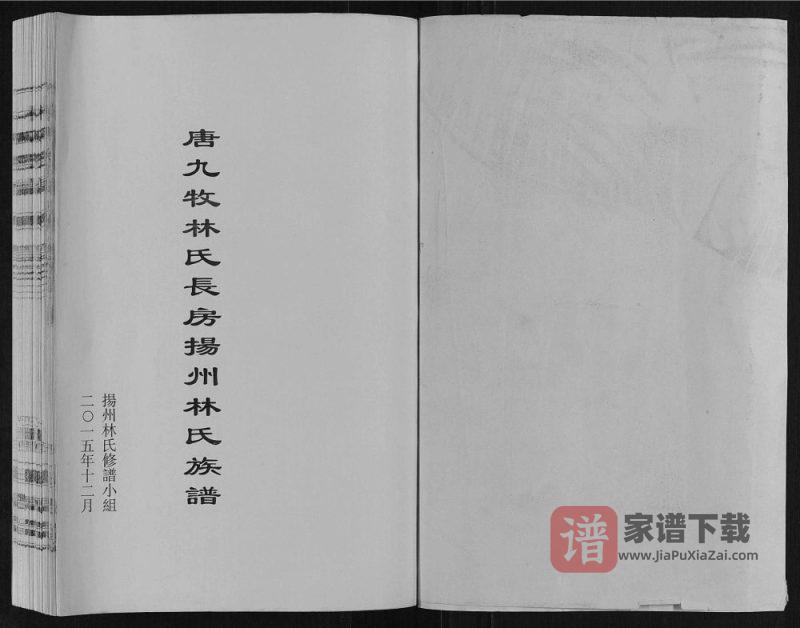 江苏扬州广陵湾头林氏族谱（世德堂）PDF高清电子版下载-家谱下载