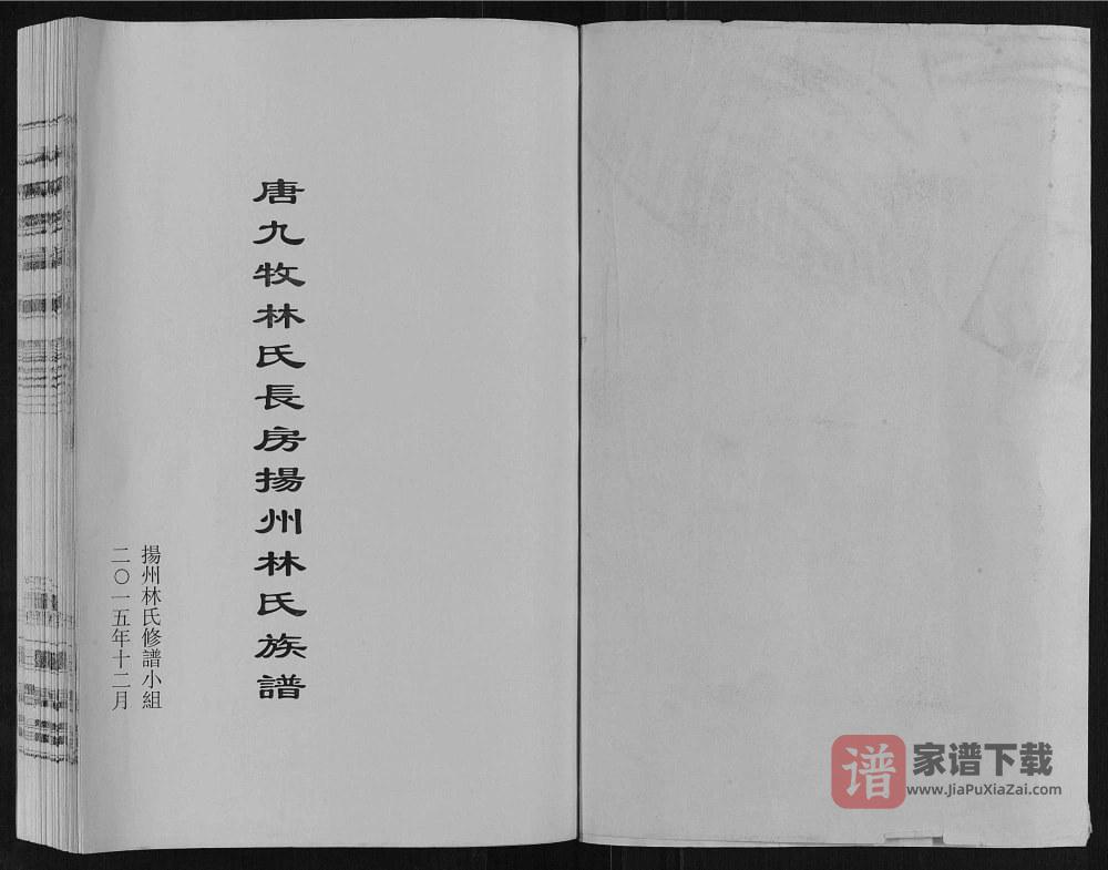 江苏扬州广陵湾头林氏族谱（世德堂）PDF高清电子版下载