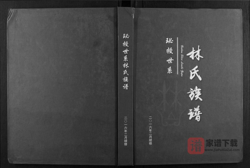 湖南永州东安县珌授世系林氏族谱PDF高清电子版下载