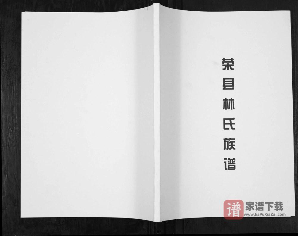 四川自贡荣县林氏族谱PDF高清电子版下载