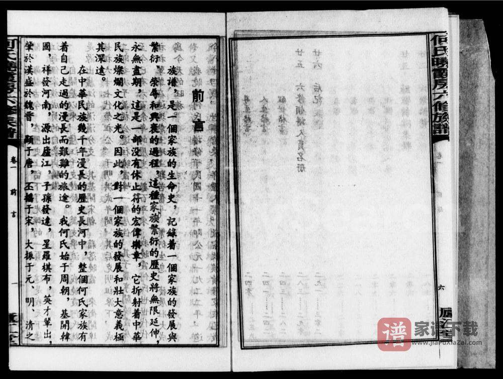 图片[2]-湖南衡阳衡东县何氏晓霞房六修族谱（庐江堂）PDF高清电子版下载-家谱下载