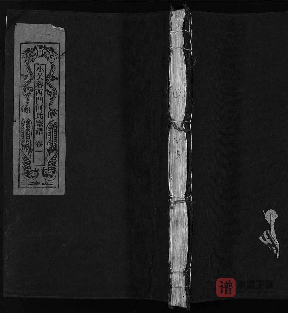 图片[1]-浙江乐清小芙蓉何氏宗谱PDF高清电子版下载-家谱下载